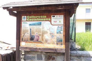 Sfoglia la galleria