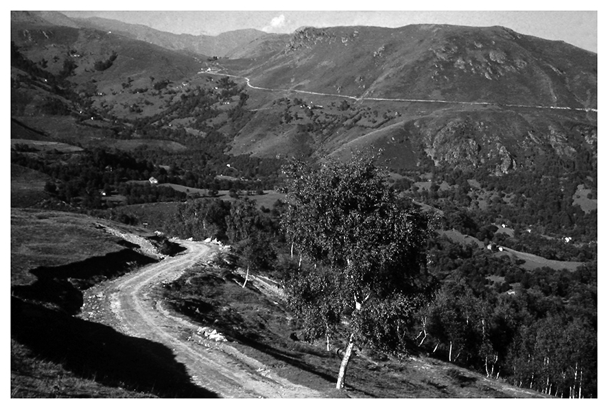 Strada per Santa Elisabetta